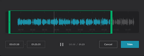 trim the uploaded audio track