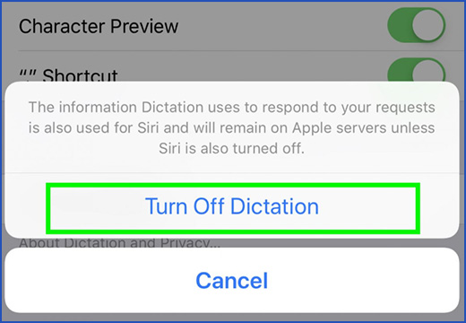 turn off iphone 6 dictation