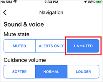 turn on voice navigation