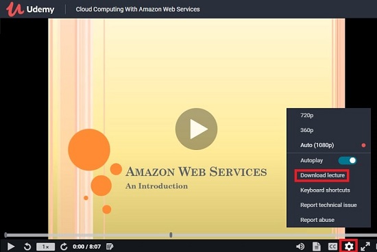 use udemy built-in download option