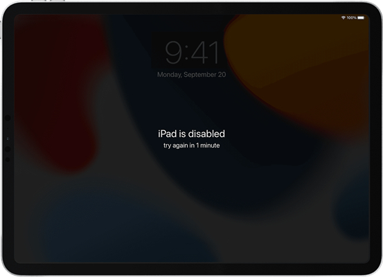 unlock ipad with apple id