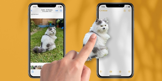 use visual look up on ios 16