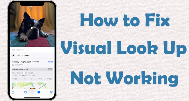 visual lookup not working