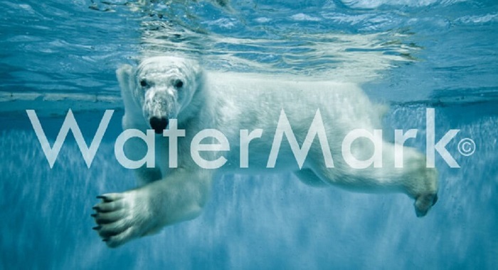 remove watermark