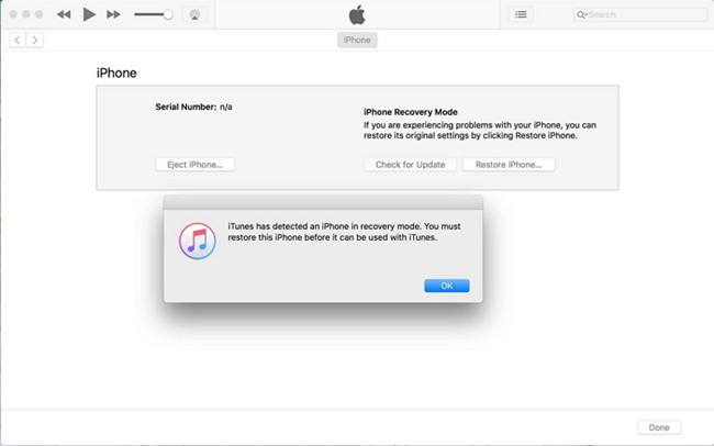 restore iphone itunes